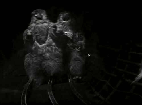 tumblr_nc0cv7Q4ui1s2gntso2_500